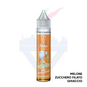FUJI MELON - Flavour Bar - Aroma Mini Shot 10ml - Suprem-e