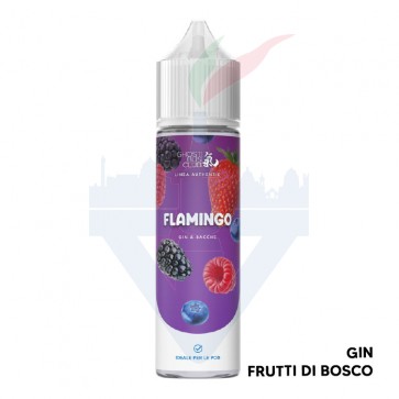 FLAMINGO - Aroma Shot 20ml - Ghost Bus Club