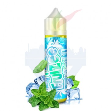 Aroma Concentrato Fruizee Icy Mint 20ml Grande Formato - Eliquid France