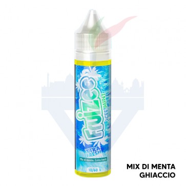 ICEE MINT - Fruizee - Aroma Shot 10ml - Eliquid France CON TASSELLO