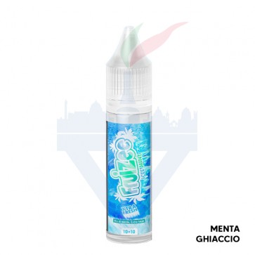 ICEE MINT - Fruizee - Aroma - Mini Shot 1010 - Eliquid France
