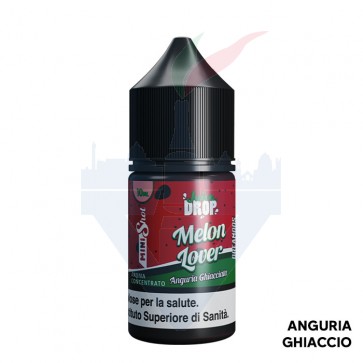 MELON LOVER - Juice Drop - Aroma - Mini Shot 1010 - Dreamods