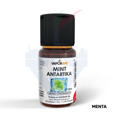 MINT ANTARTIKA - Aroma Concentrato 10ml - Vaporart CON TASSELLO