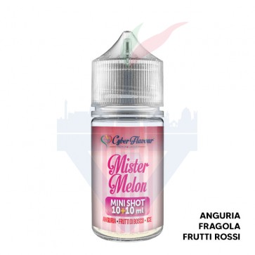 MR MELON - Aroma Mini Shot 10ml - Cyber Flavour CON TASSELLO