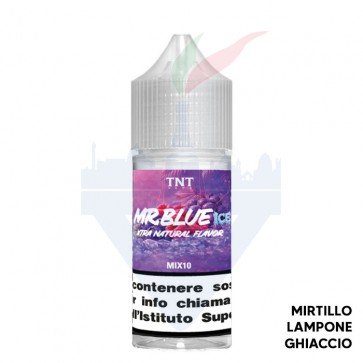 MR BLUE ICE - Fruity Ice - Mix Series - Mini Shot 1010 - TNT Vape