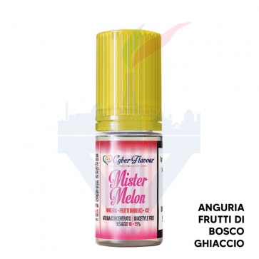 MR MELON - Fresh And Fruity - Aroma Concentrato 10ml - Cyber Flavour CON TASSELLO