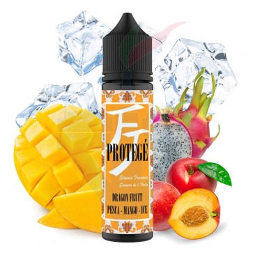 PROTEGE' - Scomposto 20ml - Flavor Juice 