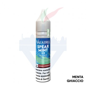 SPEARMINT ICE - Baron Series - Aroma - Mini Shot 1010 - Valkiria