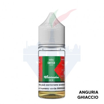 WATERMELON ICE - Switch Bar - Mix Series 10ml - King Liquid