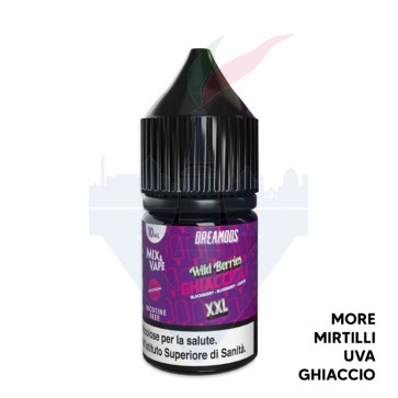 WILD BERRIES - I Ghiaccioli - Mix Series 10ml - Dreamods CON TASSELLO