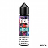 MENTA BALSAMICA - Ten X - Aroma - Shot 20 su 60 - Flavourart