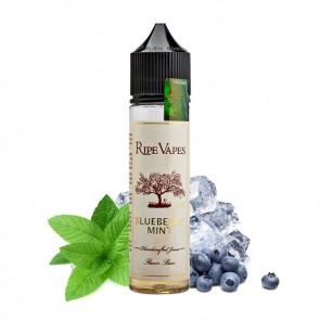BLUEBERRY MINT - Scomposto 20ml - Ripe Vapes