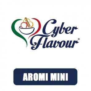 Aromi Mini 10ml - Cyber Flavour