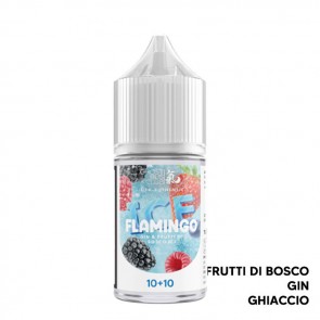 FLAMINGO ICE - Aroma - Mini Shot 1010 - Ghost Bus Club