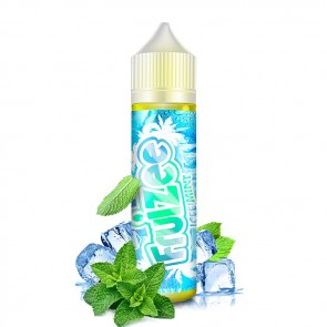 Aroma Concentrato Fruizee Icy Mint 20ml Grande Formato - Eliquid France