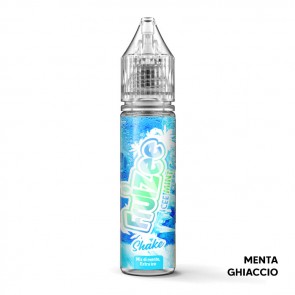 Aroma Concentrato Fruizee Icy Mint 20ml Grande Formato - Eliquid France