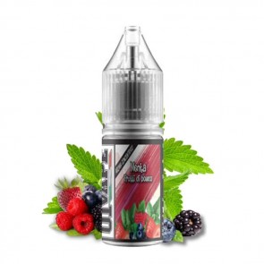 Aromi Concentrati 10ml - 01Vape-Menta e Frutti di Bosco