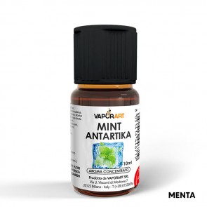 MINT ANTARTIKA - Aroma Concentrato 10ml - Vaporart CON TASSELLO