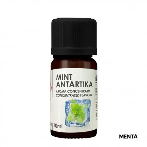 MINT ANTARTIKA - Elixir - Aroma Concentrato 10ml - Delixia