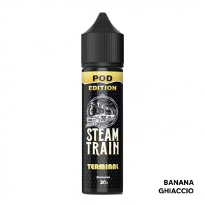 TERMINAL - Pod Edition - Aroma Shot 20ml - Steam Train