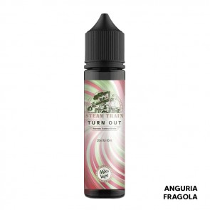 TURN OUT - Aroma Shot 20ml - Steam Train