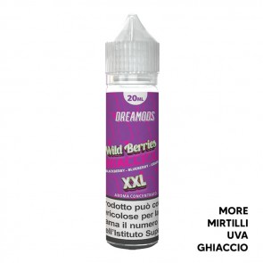 WILD BERRIES - I Ghiaccioli - Aroma Shot 20ml - Dreamods CON TASSELLO