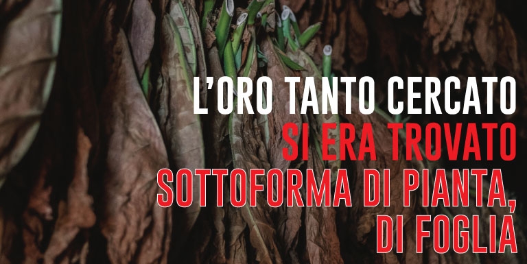 oro sottoforma di pianta di foglia